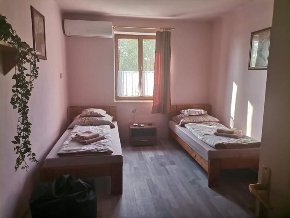 Pazsit-to Vendeghaz Apartment *